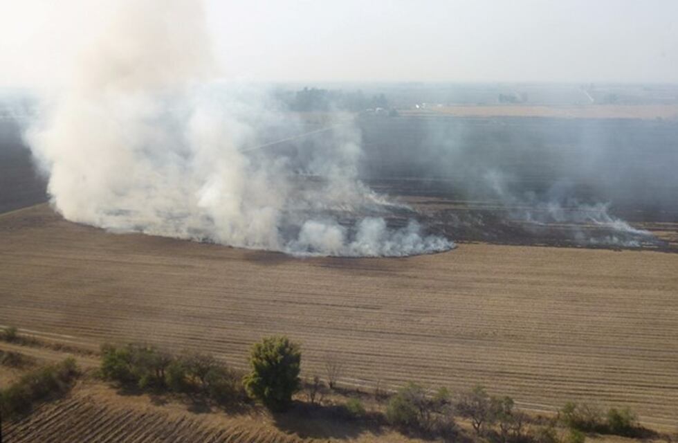 "Llevamos hasta la fecha más de 120 actuaciones con infracciones en campos que incendiaron caña o pastizales"