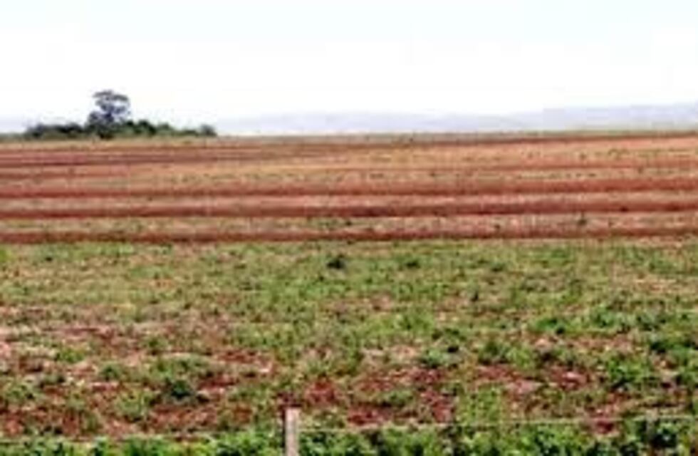 Es ley el proyecto de Mattiauda que busca disminuir la erosión del suelo