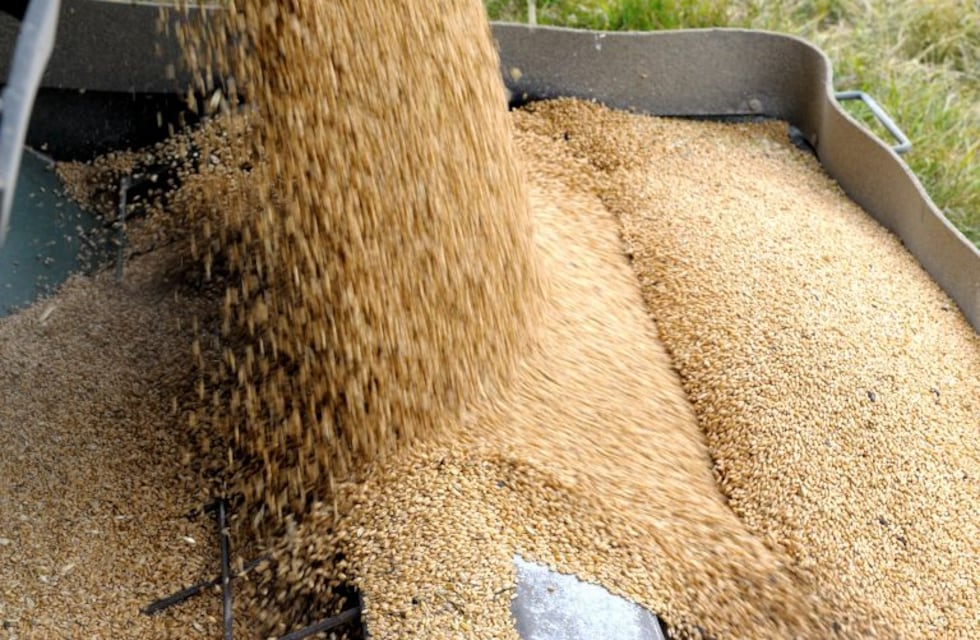 Córdoba destaca la propuesta del Consejo Agroindustrial Argentino