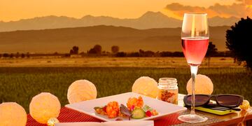 Las 6 mejores empresas de transporte para bodeguear en Mendoza, según una influencer