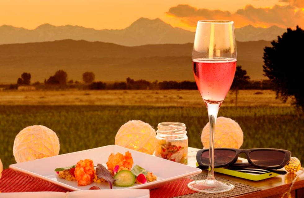 Las 6 mejores empresas de transporte para bodeguear en Mendoza, según una influencer