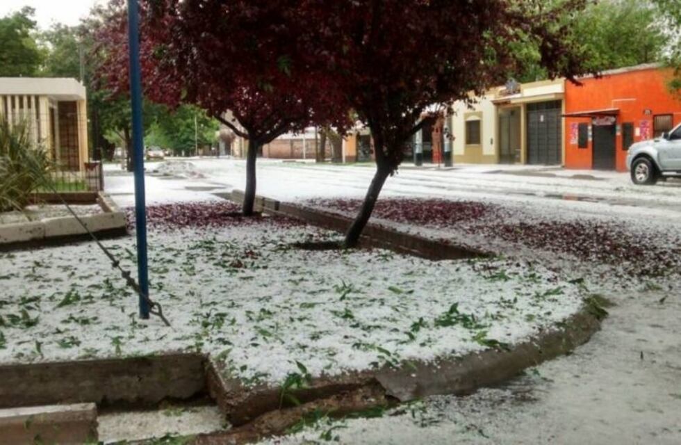 "Estamos haciendo todo lo posible para evitar y prevenir el granizo"