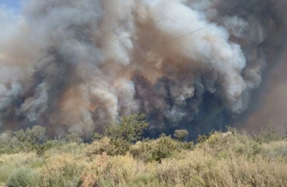 Desesperación en el sur mendocino: los incendios ya quemaron 170 mil hectáreas