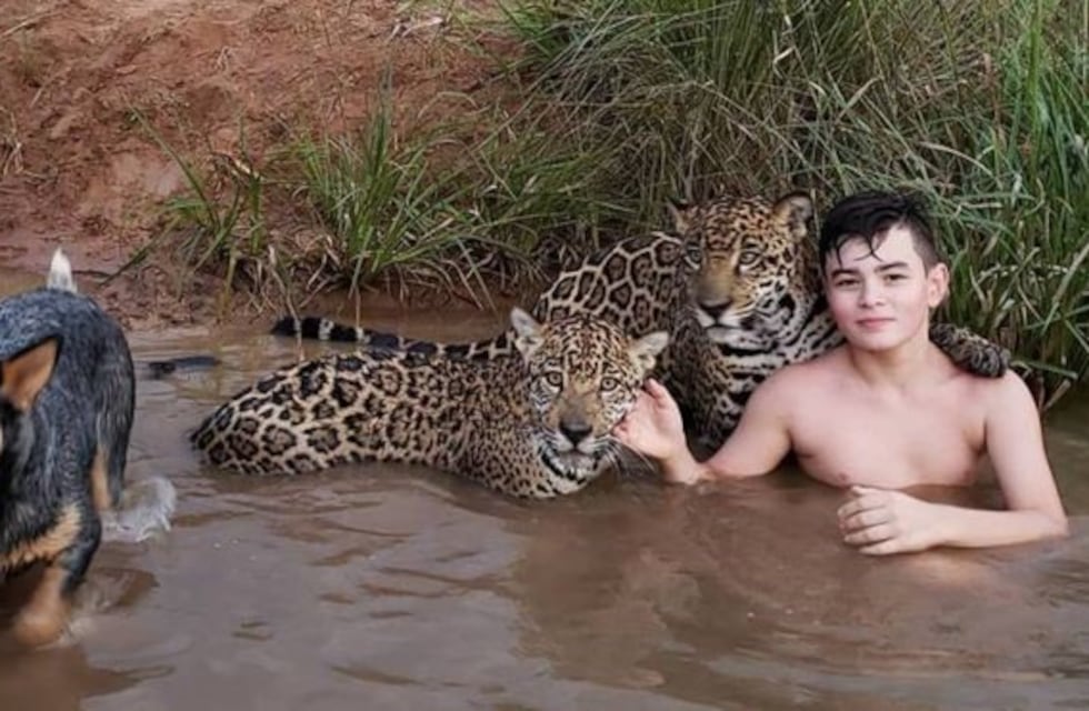 ¿Real o fake? La verdadera historia detrás de esta foto viral