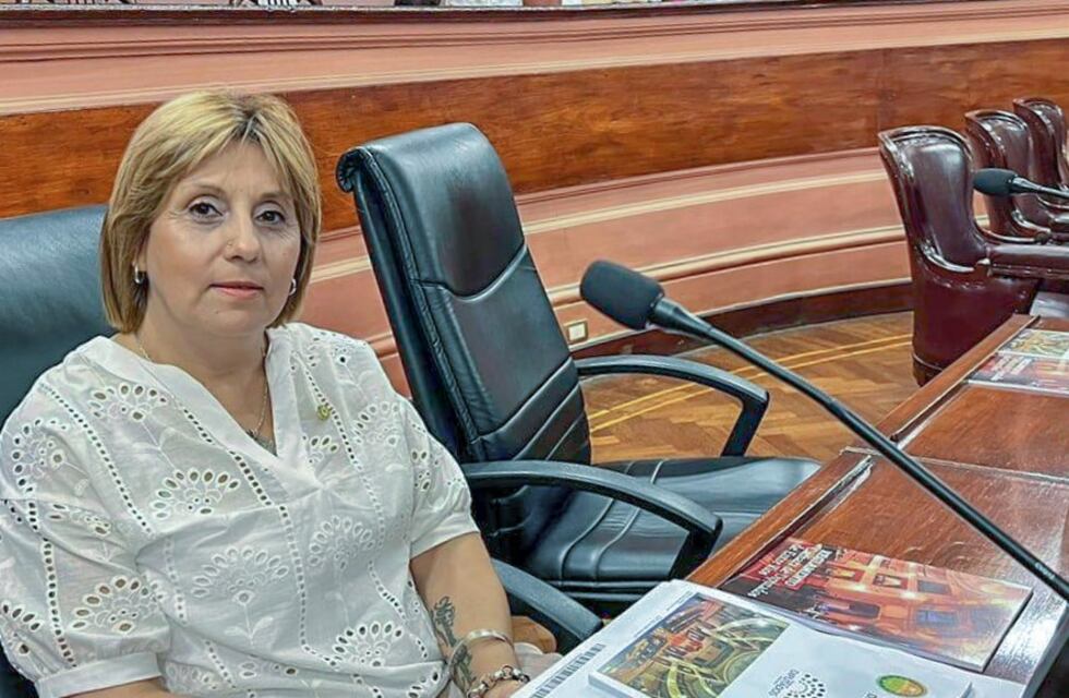 Caso Hein-Stratta: Salinas negó los hechos denunciados por la ex vicegobernadora