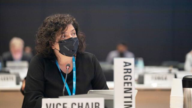 En su rol de vicepresidenta del Consejo Ejecutivo, la ministra se refirió a la Región de las Américas como “una de las más golpeadas por la pandemia, con enorme impacto sanitario, económico, social y hasta político, que se suma a las inequidades y a los desafíos estructurales previos a esta crisis global”.