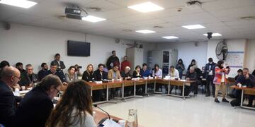 La Comisión de Transporte de Diputados emitió un dictamen consensuado. Foto: HCDN.