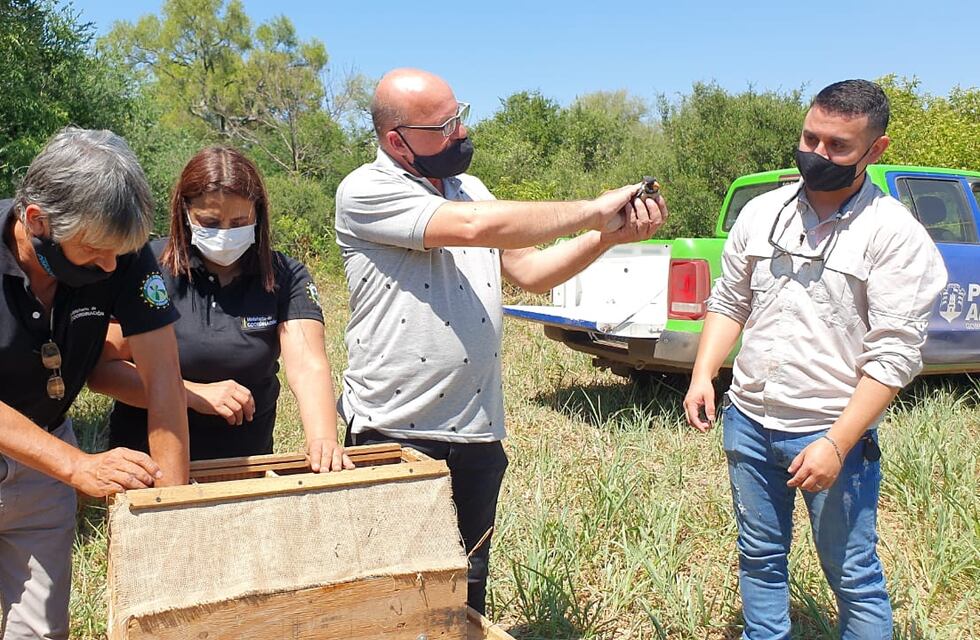 La Paquita: 51 aves de diferentes especies vuelan en libertad