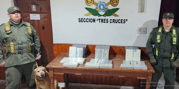Efectivos de la sección "Tres Cruces" perteneciente al escuadrón 21 "La Quiaca" de GNA, exhibieron a los medios la droga incautada.