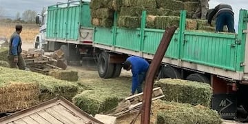 La Municipalidad de Valle Fértil repartió 640 fardos de pasto para 177 productores afectados por el incendio forestal.