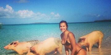 La misteriosa isla del Caribe en la que solo viven cerdos
