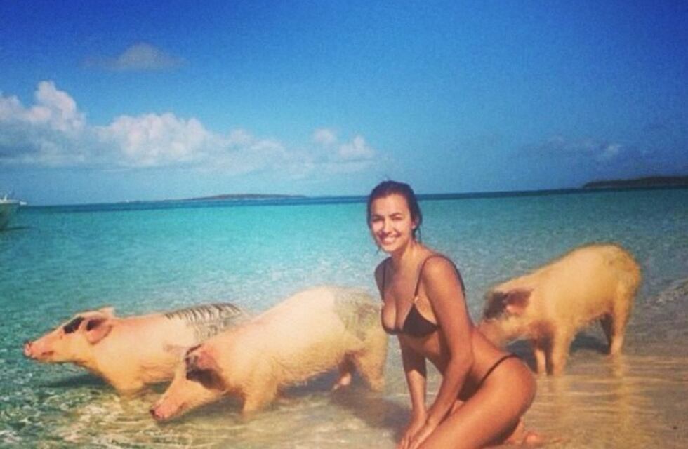 La misteriosa isla del Caribe en la que solo viven cerdos