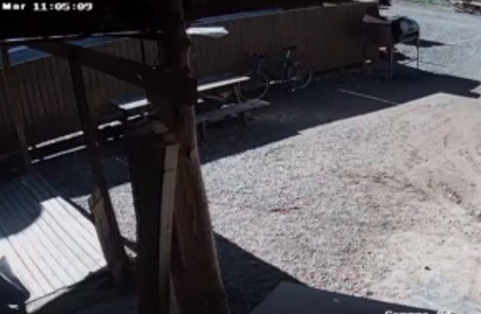Con total impunidad, robó una bici de una maderera y todo quedó grabado