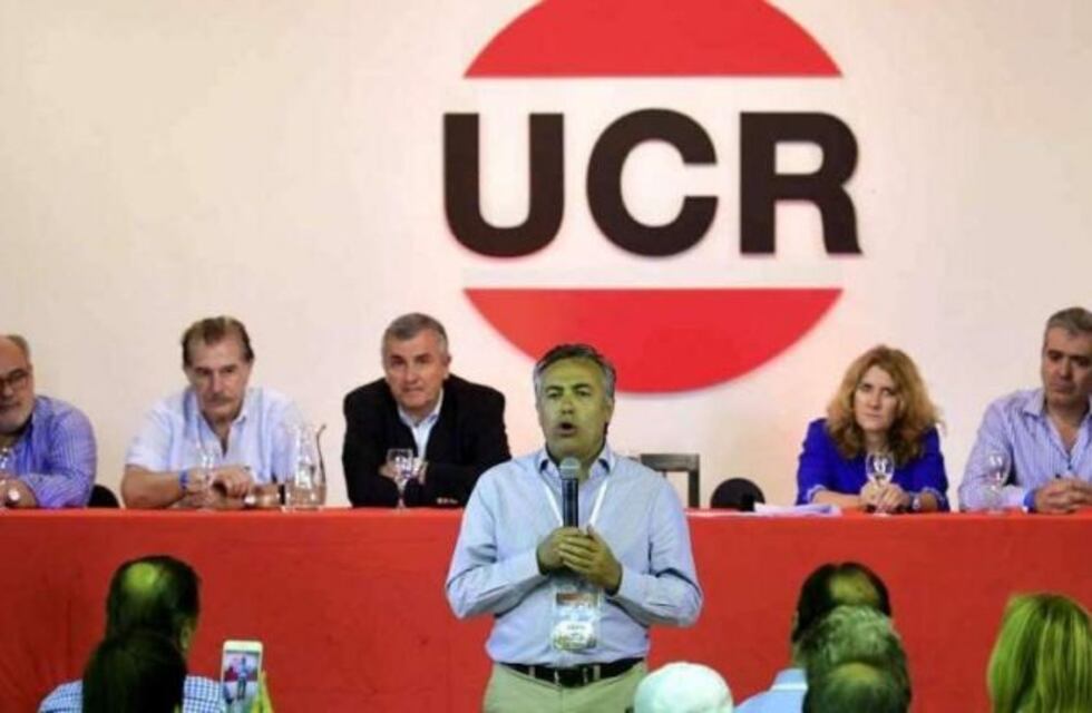 Cornejo cuestionó la intervención del PJ