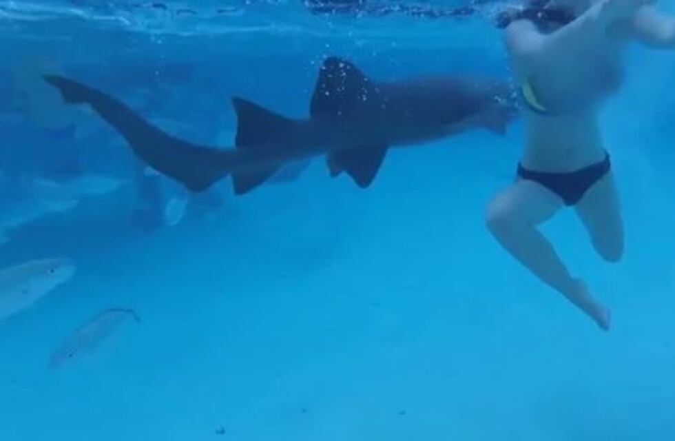 Una mujer fue atacada por un tiburón en su luna de miel