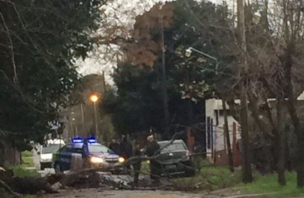 Motociclista murió tras llevarse puesto un árbol que se cayó por la tormenta en La Plata