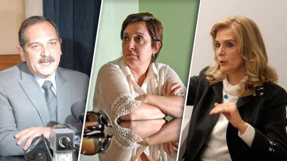 Alperovich y Silvia Elías de Pérez votaron en contra del proyecto y Beatriz Mirkin lo hizo a favor\u002E