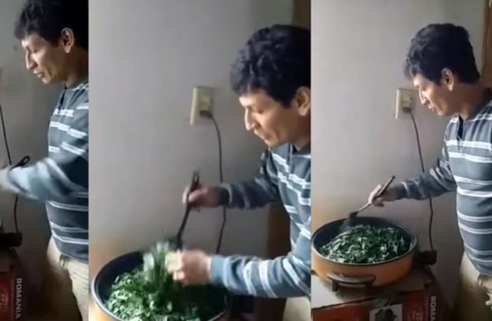 Crece en Salta el consumo de la "coca del monte"