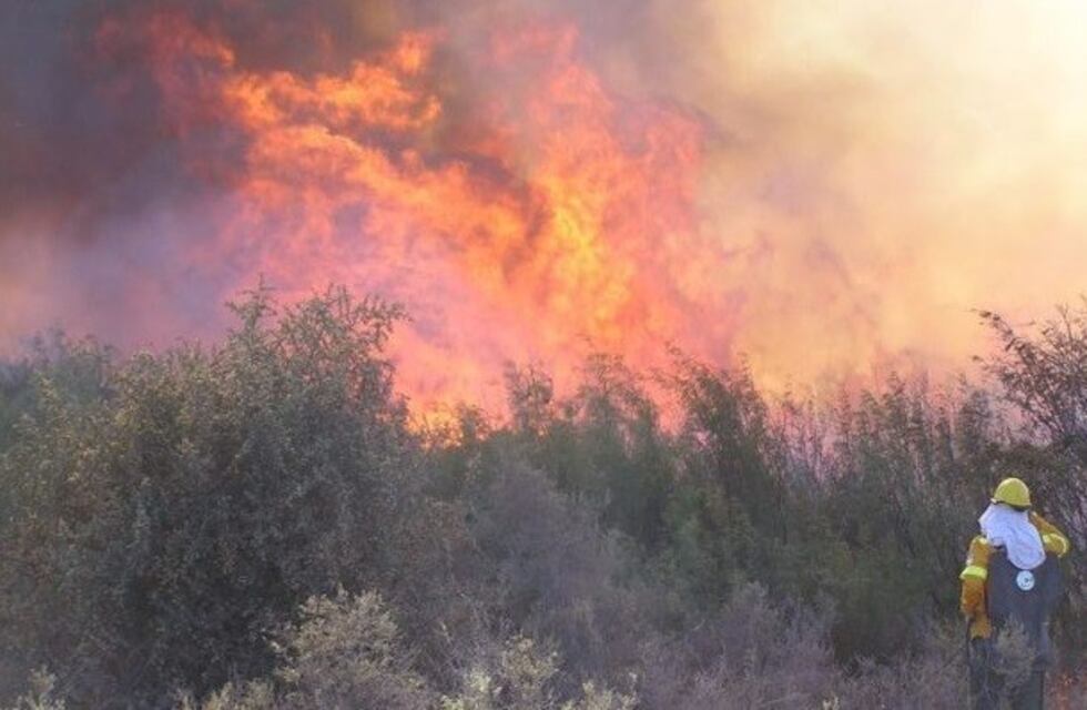 Piden declarar la emergencia económica por los incendios en el sur
