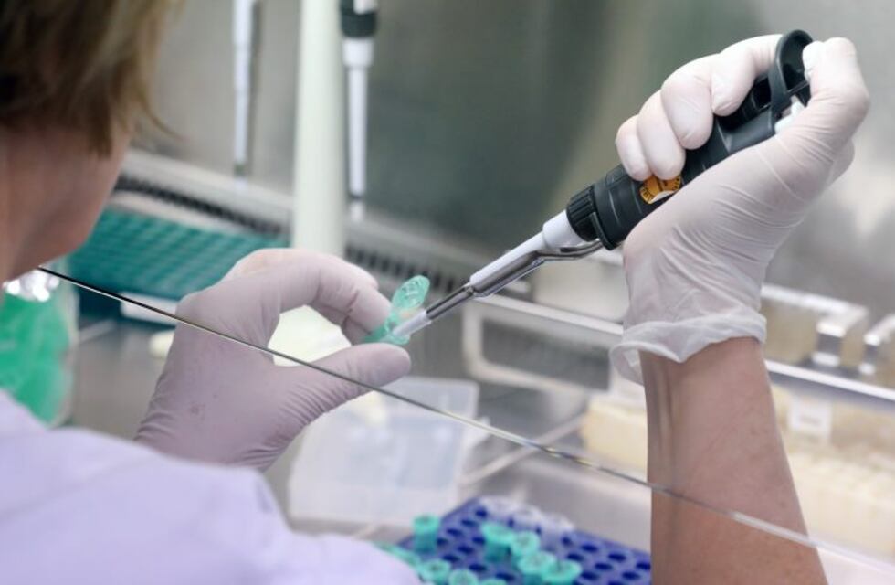 Mendoza no tiene nuevos casos de coronavirus