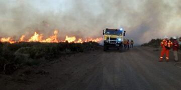 Se incendiaron 400 hectáreas de árboles en Caviahue