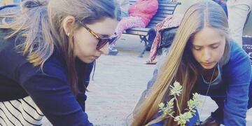 Primavera en el Museo López Claro