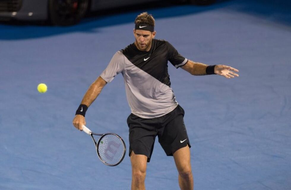 Del Potro no pasó sobresaltos en el debut en Delray Beach