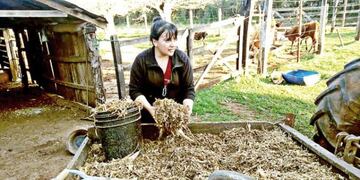 Eliana trabaja en una chacra y estudia