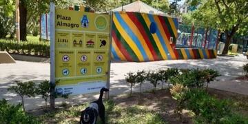 Vecinos denuncian que tiran pastillas para envenenar a los perros en una plaza de Almagro (Foto: Clarín)