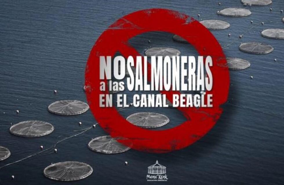 #NoALaSalmonicultura: la campaña viral que impulsan los cocineros más reconocidos de Argentina