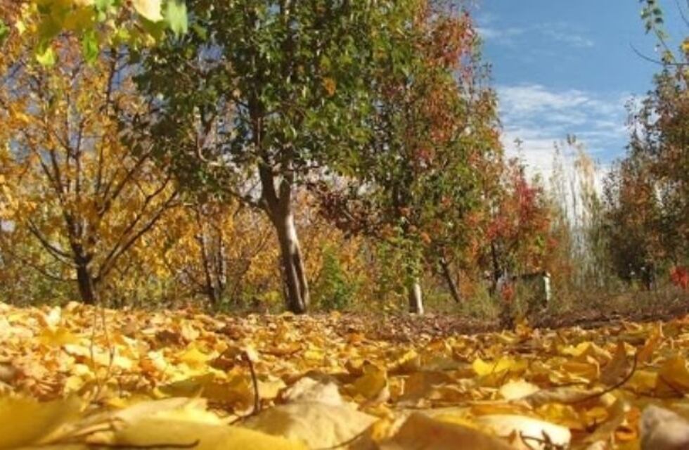 Clima en Neuquén: cómo estará el tiempo esta semana