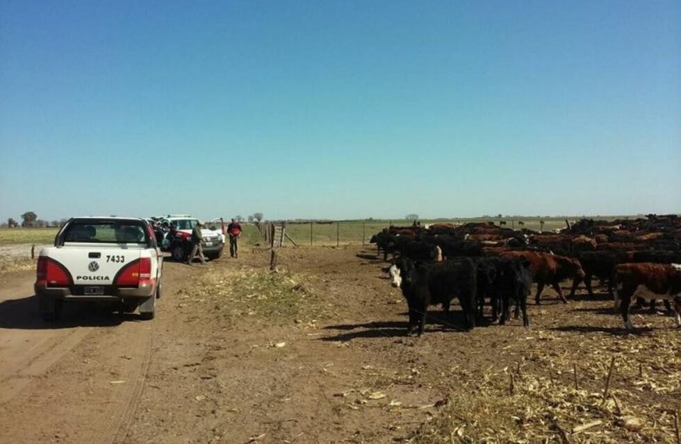 Secuestran hacienda por una presunta estafa de $ 40 millones