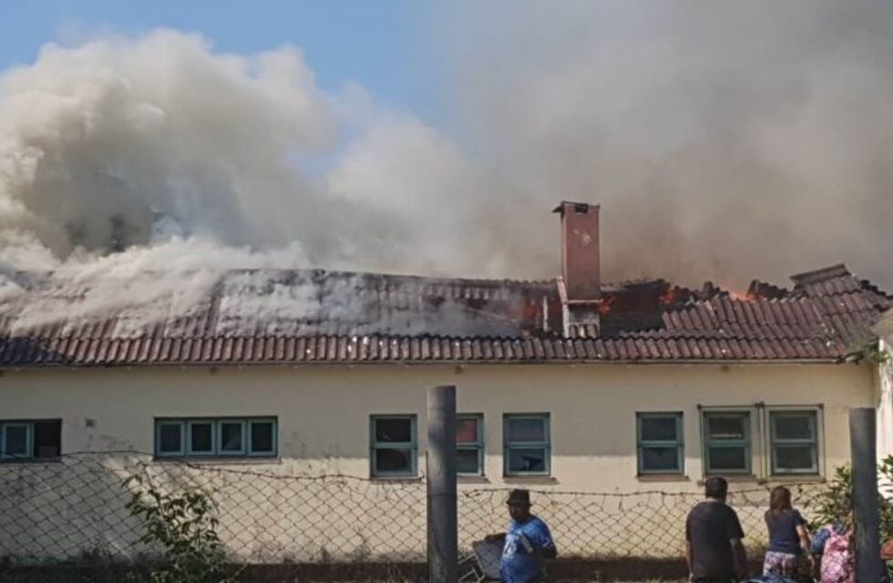 Quisieron sacar a unas abejas de su panal y terminaron incendiando por completo una escuela