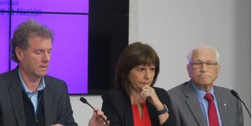 Servicio Cívico Voluntario: Milman afirmó que "de ninguna manera va a suplantar a la escuela"