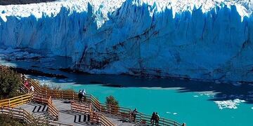El calafate glaciar