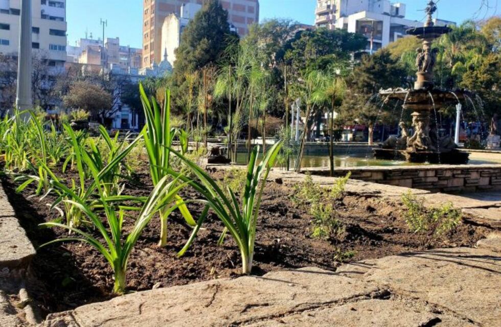 Tras el ataque de los robaplantas quieren resucitar al guardaplaza