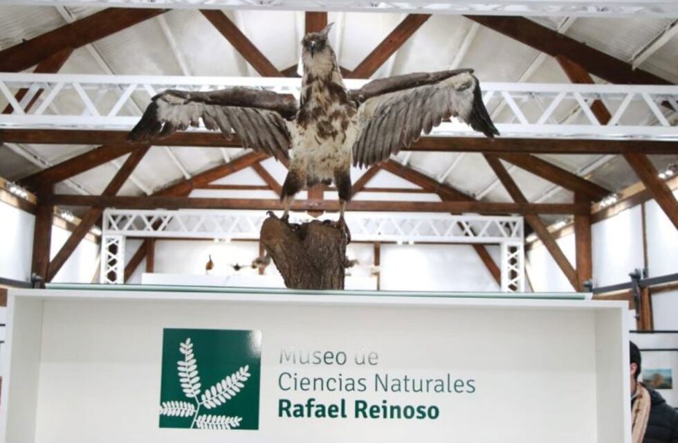 Los museos de General Alvear abrieron sus puertas con un recorrido único y distinto