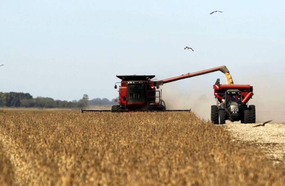 China paralizo importación de aceite de soja desde Argentina