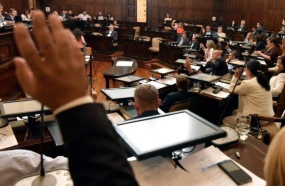 Diputados aprobó en general el polémico Código Contravencional