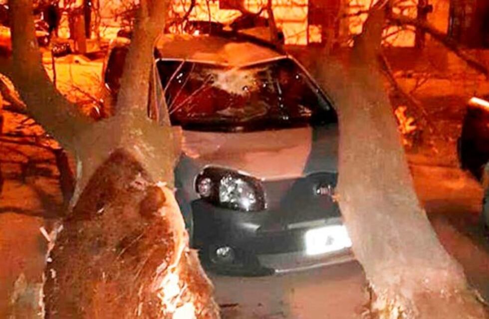 El fuerte viento en Santa Rosa tiró un árbol sobre un auto en el Barrio Butaló