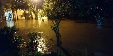 El fuerte temporal provocó anegamientos y caída de árboles (Foto: El Tucumano)