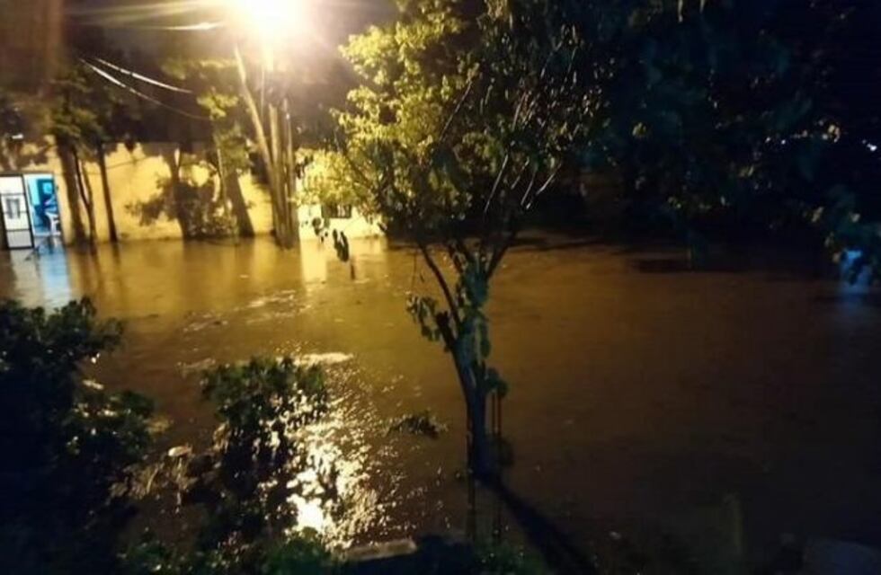El temporal provocó anegamientos y caída de árboles