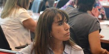 Turismo: tras el veto del Presidente, la diputada Reyes dijo que se demuestra improvisación