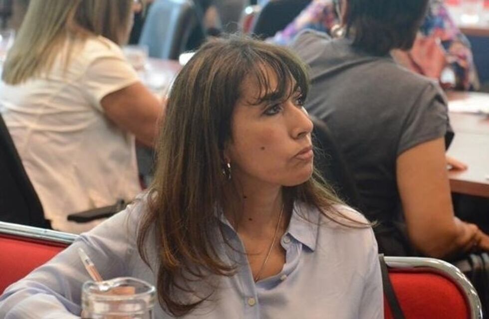 Turismo: tras el veto del Presidente, la diputada Reyes dijo que se demuestra improvisación