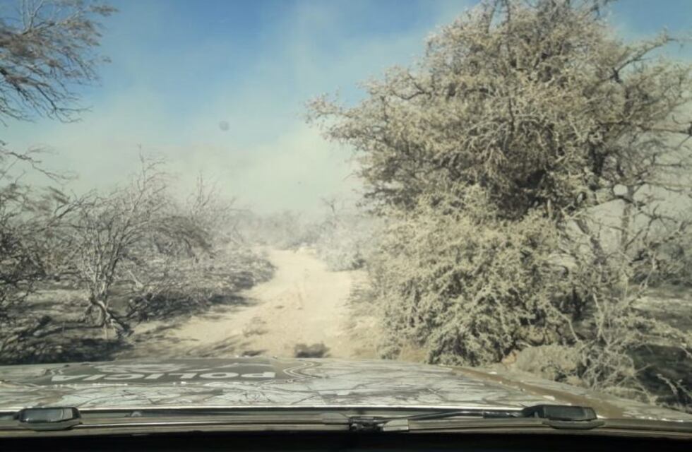 Bomberos lograron controlar el incendio en Los Molles