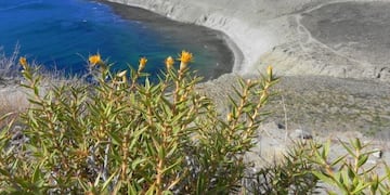 Reserva Punta del Marqués\u002E