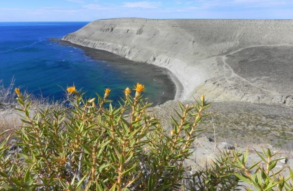 La reserva Punta del Marqués celebra su 33º aniversario con actividades gratuitas