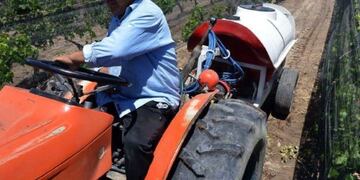 Desde SENASA y en conjunto con el Instituto de Sanidad y Calidad Agropecuaria de Mendoza (ISCAMEN) afirman que están trabajando para reducir los riesgos que esta plaga trae en la economía regional\u002E