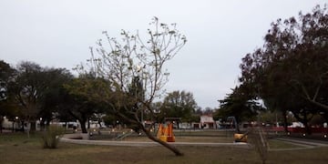 Cómo estará el tiempo este viernes en la ciudad