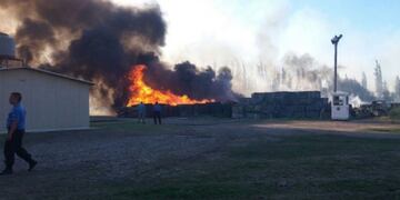Se incendiu00f3 parte del establecimiento olivu00edcola y maicero Argensun SA ubicado en el distrito Cuadro Nacional de San Rafael.